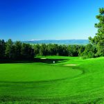 The Ridge at Castle Pines North #18