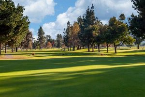 A golf course with many trees.