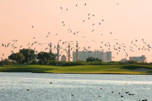 Birds flying over Al Zorah Golf Club